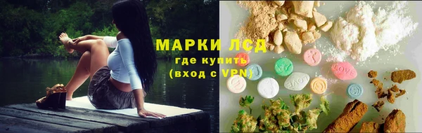 индика Бронницы