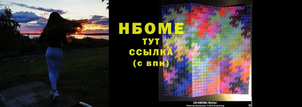 крисы Бородино