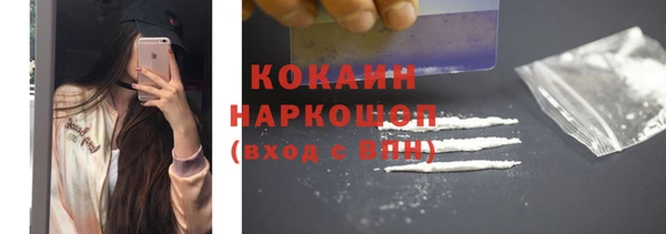 индика Бронницы