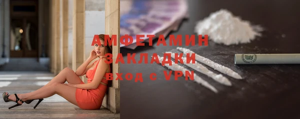 индика Бронницы