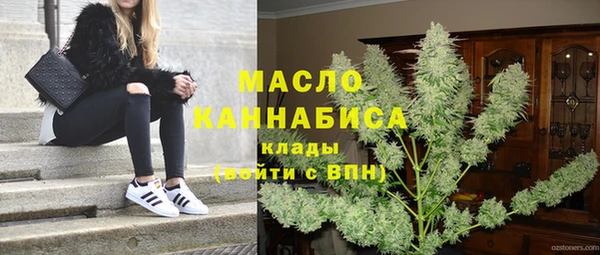 хмурый Менделеевск