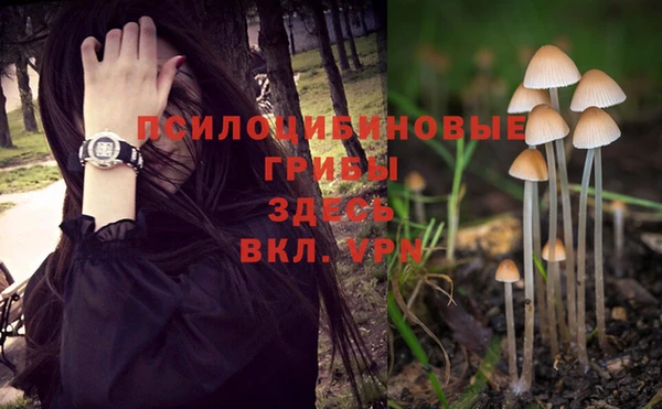 каннабис Богородицк