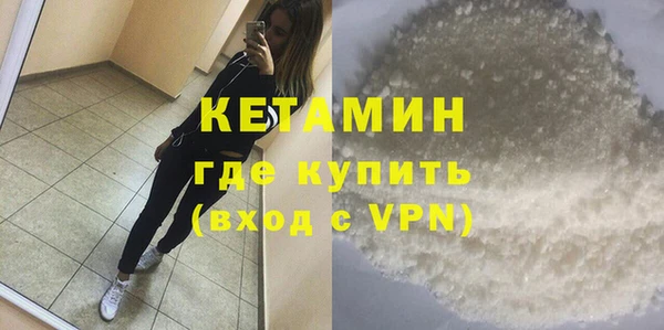 крисы Бородино