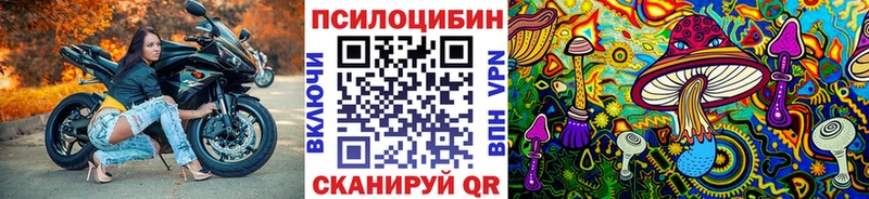 omg как войти  Озёрск  Псилоцибиновые грибы мицелий 